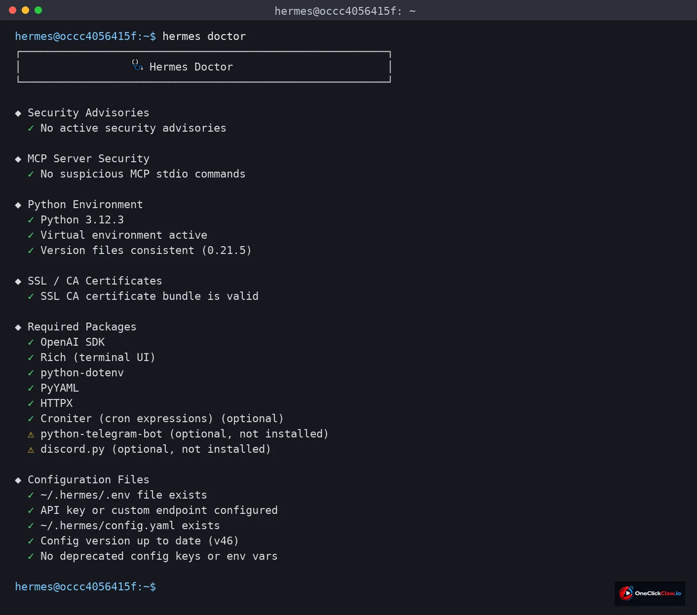 Terminal output of the hermes doctor command with passed checks and two optional warnings