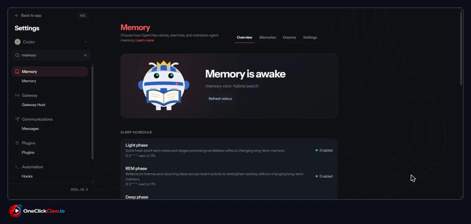 Memory page on the Overview tab with the card Memory is awake and four tabs across the top